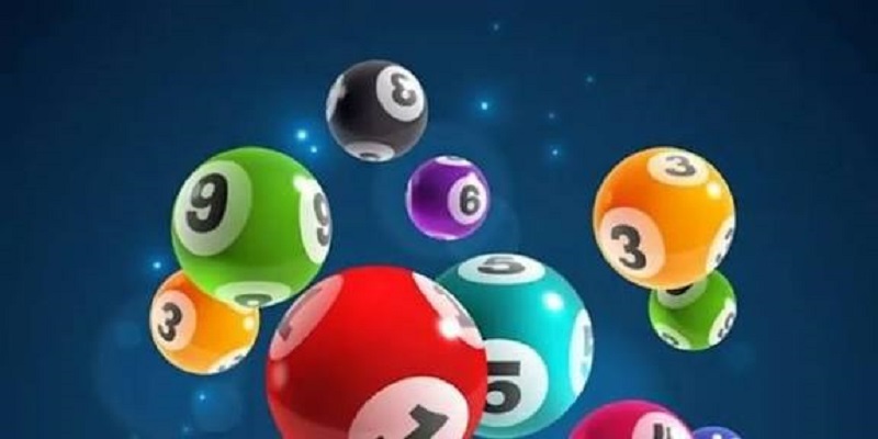 Tổng đề là gì?